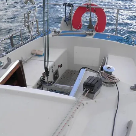 Velero Freja アレシフェ